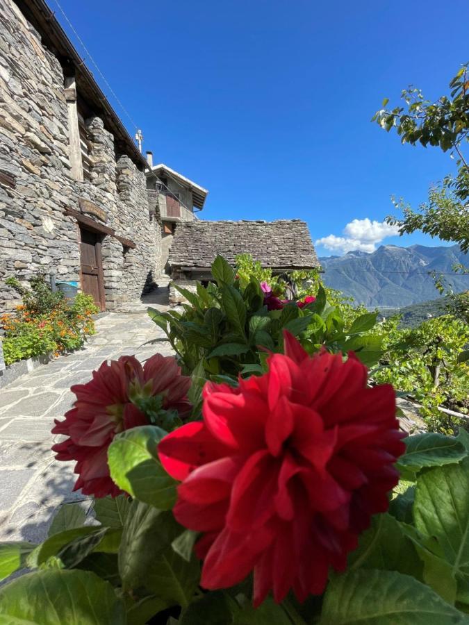 Casa Vacanze La Carbunera Villa Domodossola Ngoại thất bức ảnh